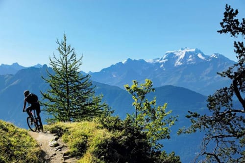 Isvicredeki Spor Kültürü